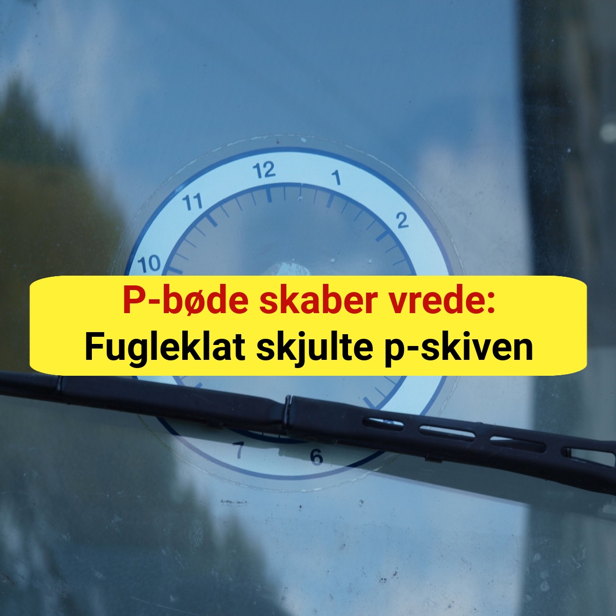 P-bøde skaber vrede: Fugleklat skjulte p-skiven