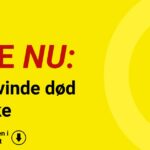 Ung kvinde død i ulykke