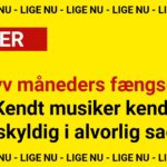 Syv måneders fængsel: Kendt musiker kendt skyldig i alvorlig sag