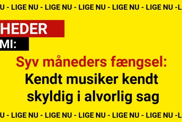 Syv måneders fængsel: Kendt musiker kendt skyldig i alvorlig sag
