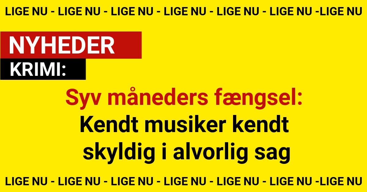 Syv måneders fængsel: Kendt musiker kendt skyldig i alvorlig sag