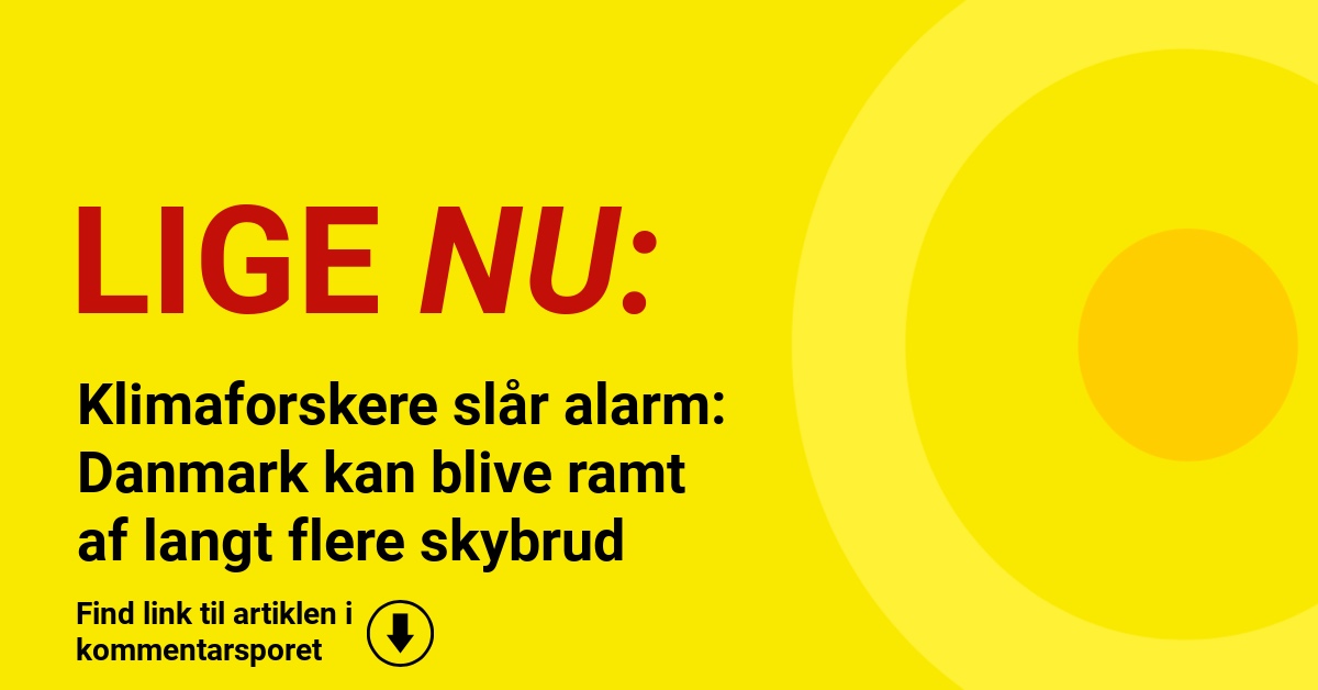 Klimaforskere slår alarm: Danmark kan blive ramt af langt flere skybrud
