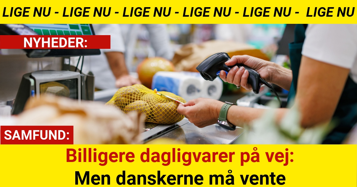 Billigere dagligvarer på vej: Men danskerne må vente