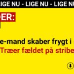 Machete-mand skaber frygt i skoven: Træer fældet på stribe