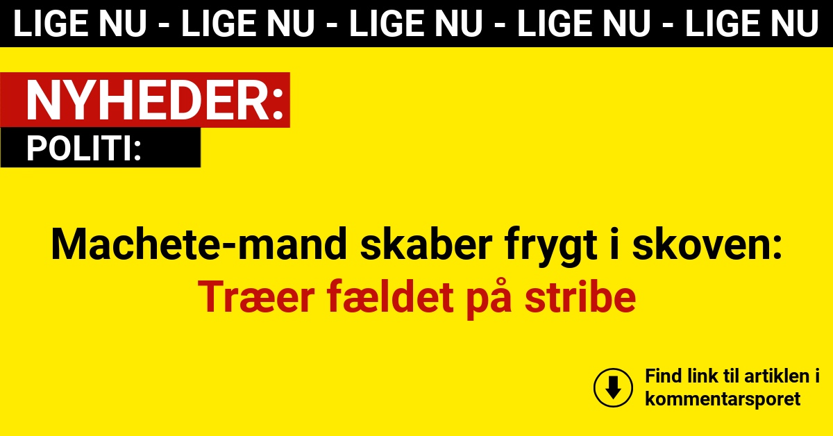 Machete-mand skaber frygt i skoven: Træer fældet på stribe