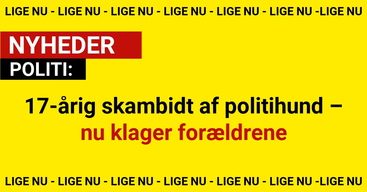17-årig skambidt af politihund – nu klager forældrene