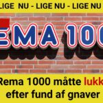 Rema 1000 måtte lukke efter fund af gnaver