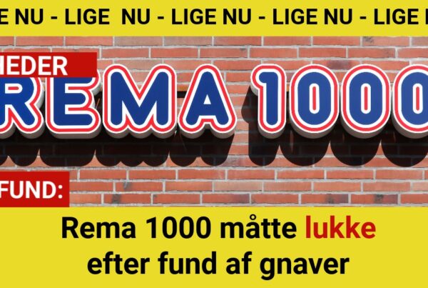 Rema 1000 måtte lukke efter fund af gnaver