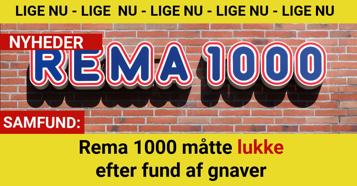 Rema 1000 måtte lukke efter fund af gnaver