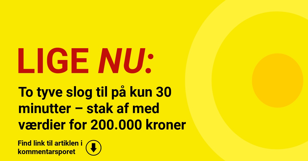 To tyve slog til på kun 30 minutter – stak af med værdier for 200.000 kroner