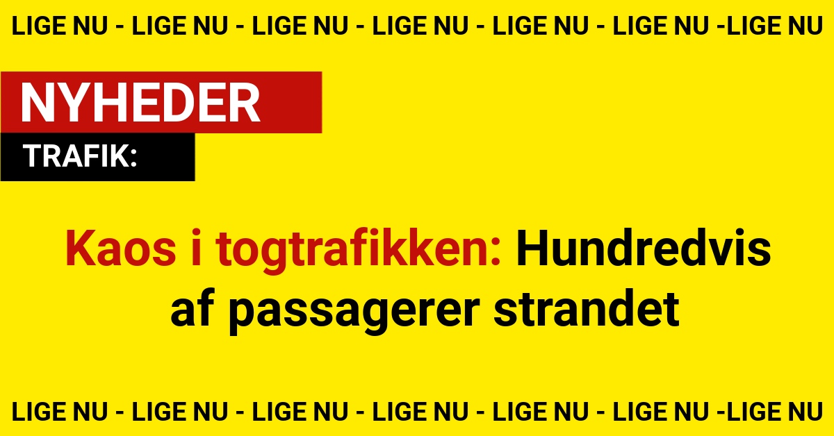 Kaos i togtrafikken: Hundredvis af passagerer strandet