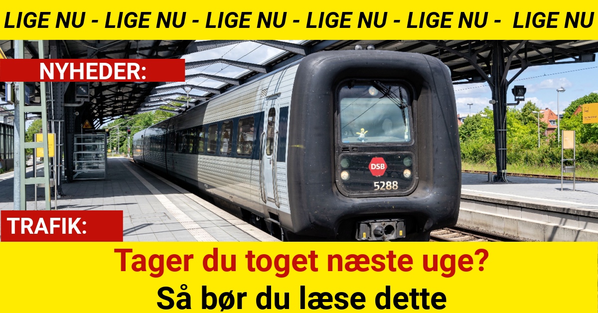 DSB aflyser populære togforbindelser hele næste uge