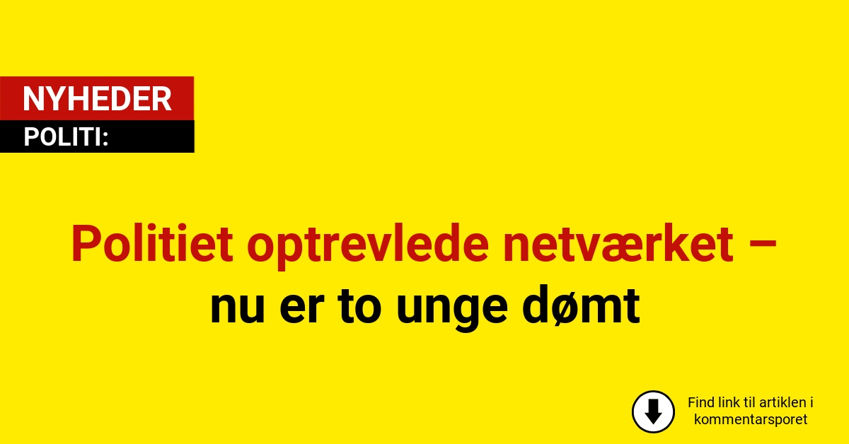 Politiet optrevlede netværket – nu er to unge dømt