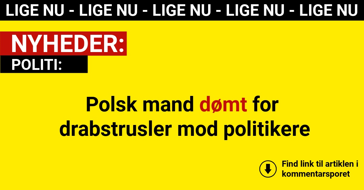 Polsk mand dømt for drabstrusler mod politikere