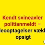 Kendt svineavler politianmeldt – videooptagelser vækker opsigt