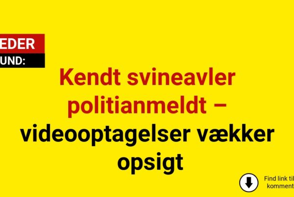 Kendt svineavler politianmeldt – videooptagelser vækker opsigt