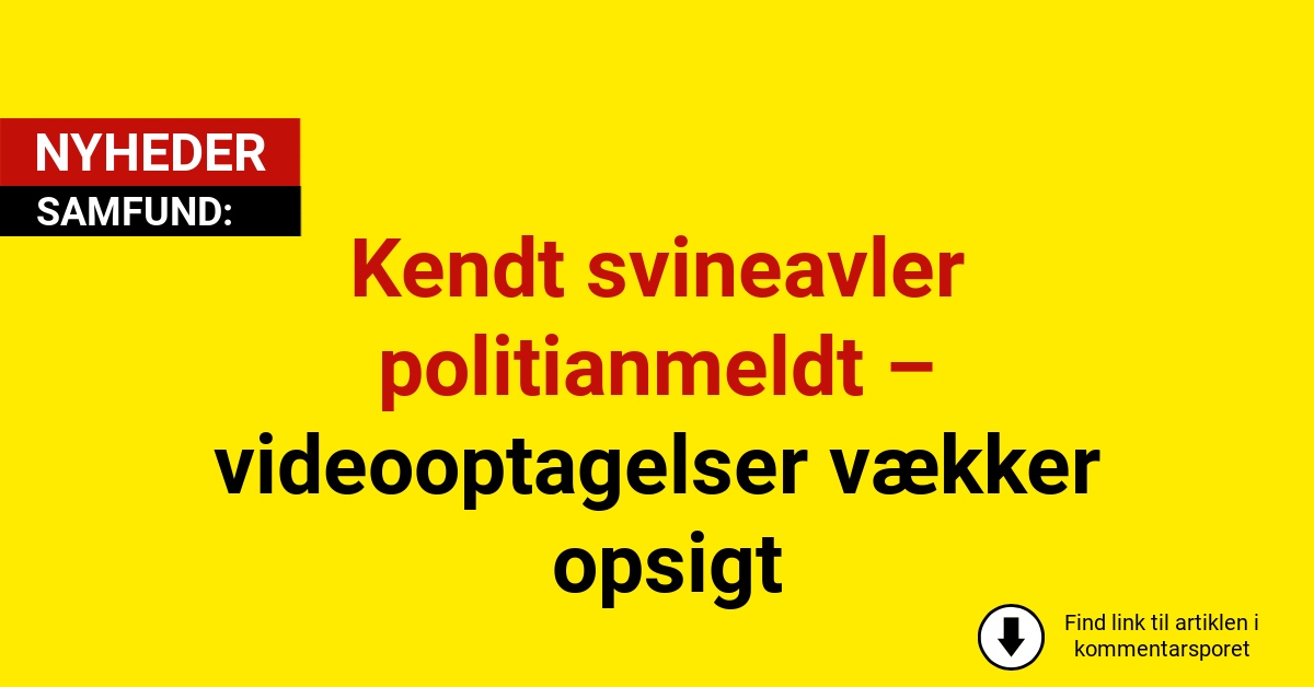 Kendt svineavler politianmeldt – videooptagelser vækker opsigt