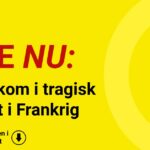 11 omkom i tragisk flystyrt i Frankrig