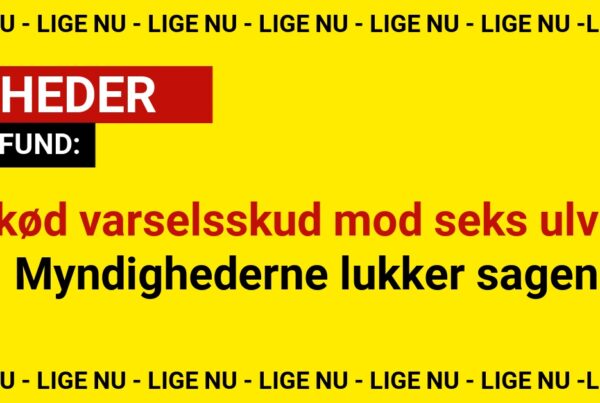 Skød varselsskud mod seks ulve: Myndighederne lukker sagen