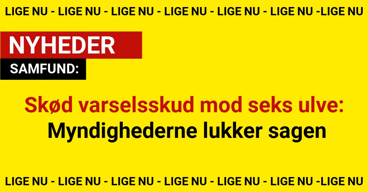 Skød varselsskud mod seks ulve: Myndighederne lukker sagen