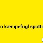 Sjælden kæmpefugl spottet i Thy