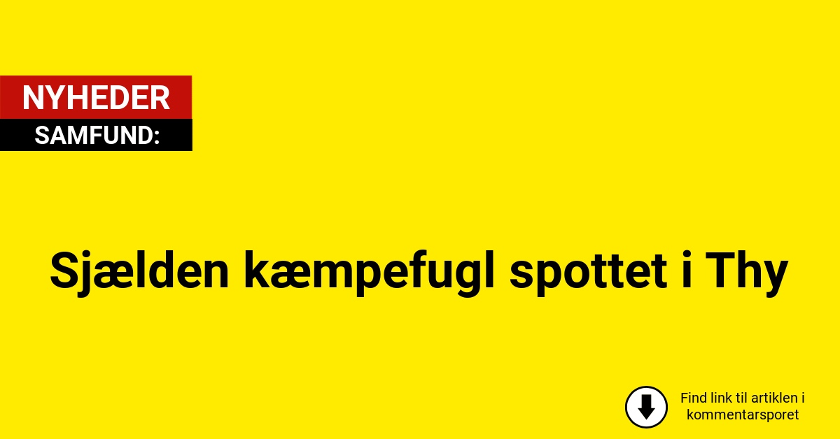Sjælden kæmpefugl spottet i Thy