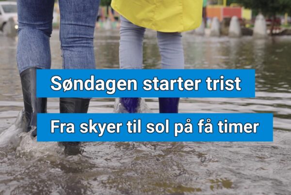 Det grå vejr forsvinder: Nu kommer solen tilbage