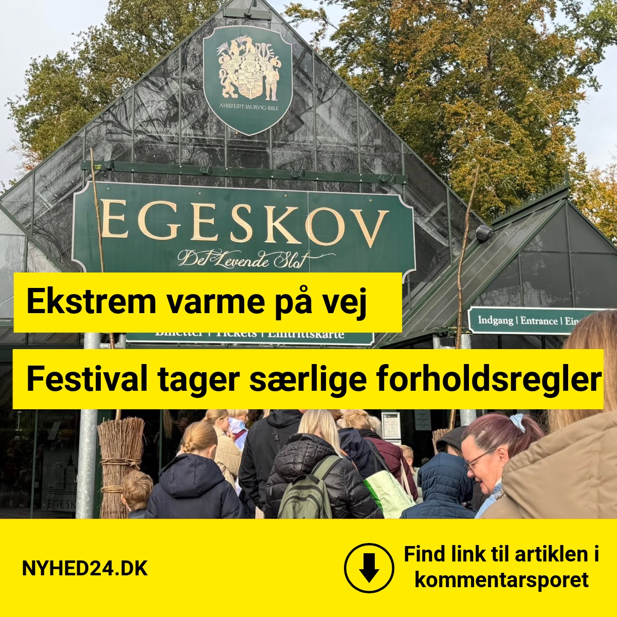 Festival frygter sommervarmen – indfører særlige tiltag for gæsterne