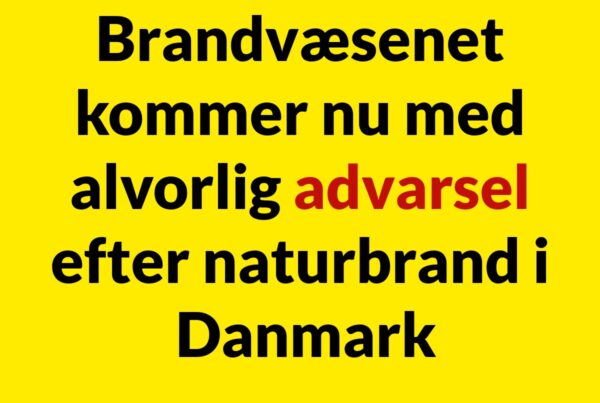 Brandvæsenet kommer nu med alvorlig advarsel efter naturbrand i Danmark
