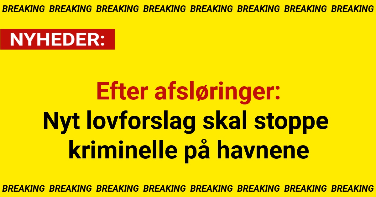 Efter afsløringer: Nyt lovforslag skal stoppe kriminelle på havnene
