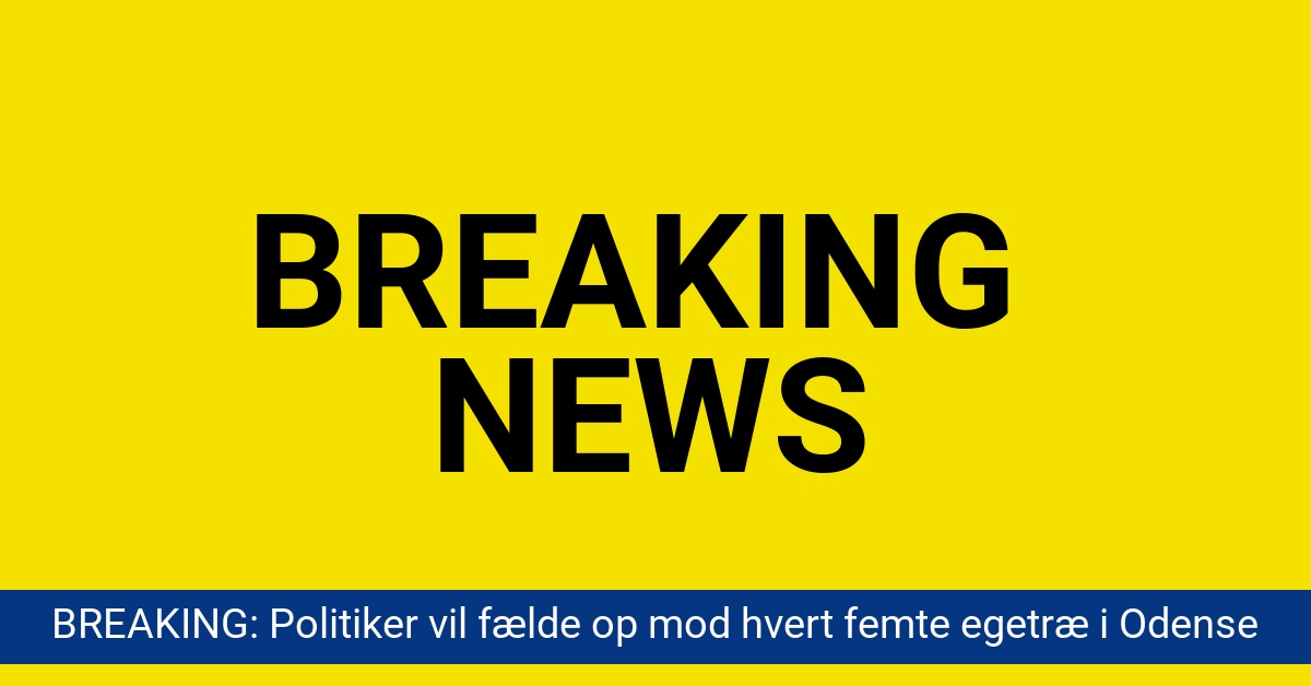 BREAKING: Politiker vil fælde op mod hvert femte egetræ i Odense