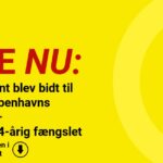 Politibetjent blev bidt til blods i Københavns Lufthavn – nu er en 24-årig fængslet