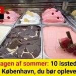 Her er isstederne, der får københavnerne til at stå i lange køer