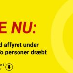 Flere skud affyret under festival: To personer dræbt