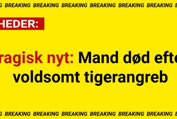 Tragisk nyt: Mand død efter voldsomt tigerangreb