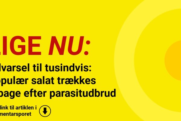 Advarsel til tusindvis: Populær salat trækkes tilbage efter parasitudbrud