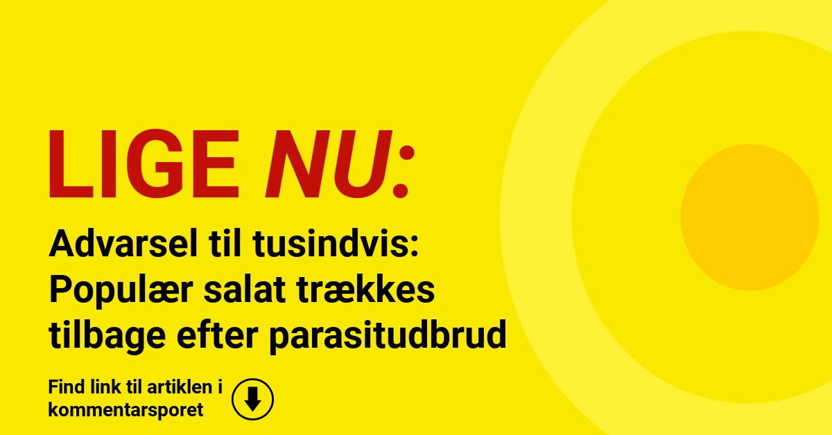 Advarsel til tusindvis: Populær salat trækkes tilbage efter parasitudbrud
