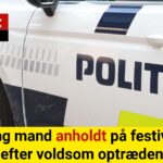 Ung mand anholdt på festival efter voldsom optræden