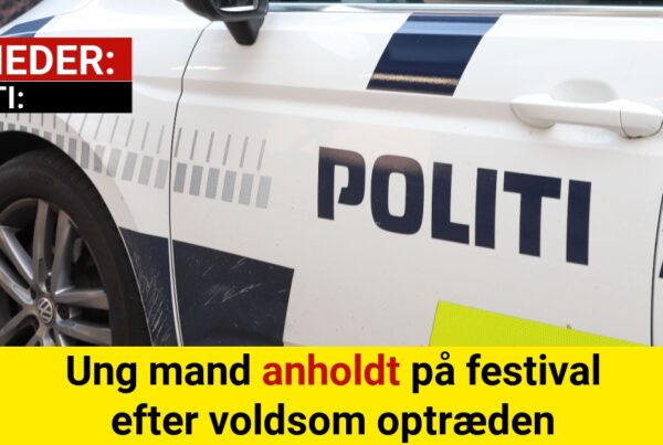 Ung mand anholdt på festival efter voldsom optræden