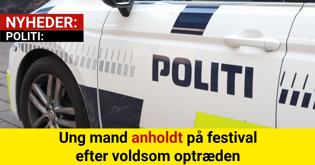 Ung mand anholdt på festival efter voldsom optræden