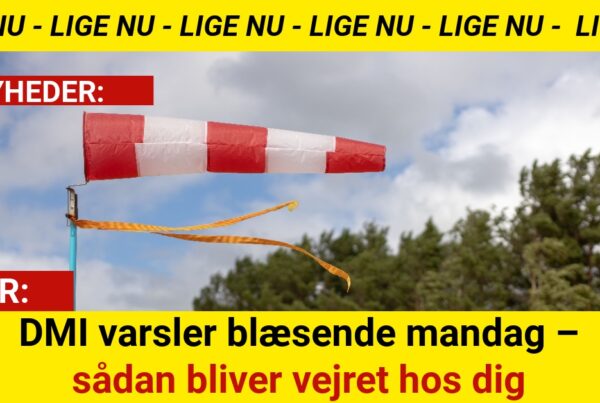 DMI varsler blæsende mandag – sådan bliver vejret hos dig