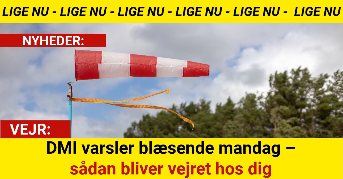 DMI varsler blæsende mandag – sådan bliver vejret hos dig