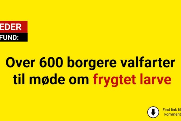 Over 600 Odense-borgere valfarter til møde om frygtet larve