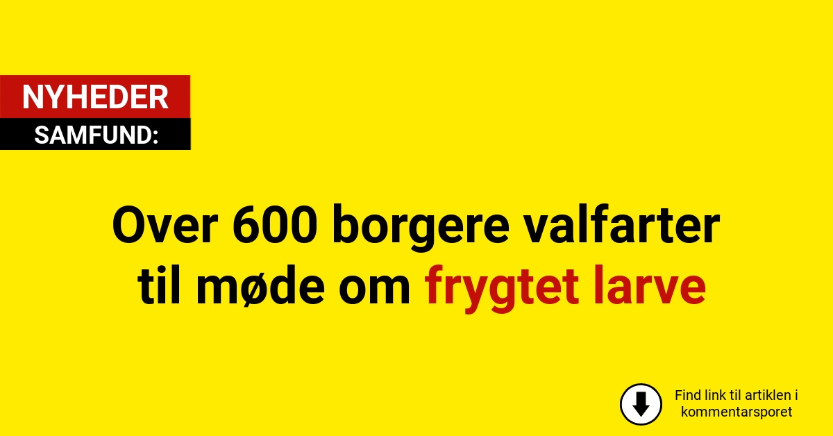 Over 600 Odense-borgere valfarter til møde om frygtet larve