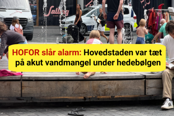 HOFOR slår alarm: Hovedstaden var tæt på akut vandmangel under hedebølgen