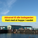 Skal du bade i København? Så bør du læse dette først