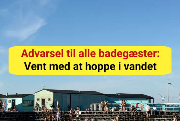 Skal du bade i København? Så bør du læse dette først
