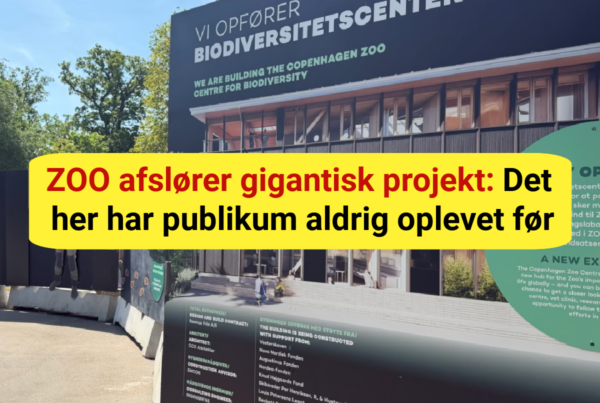ZOO afslører gigantisk projekt: Det her har publikum aldrig oplevet før