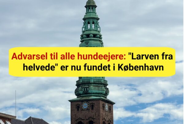 Advarsel til alle hundeejere: "Larven fra helvede" er nu fundet i København
