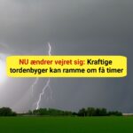 Meteorologerne advarer: Nu går det løs flere steder i Danmark
